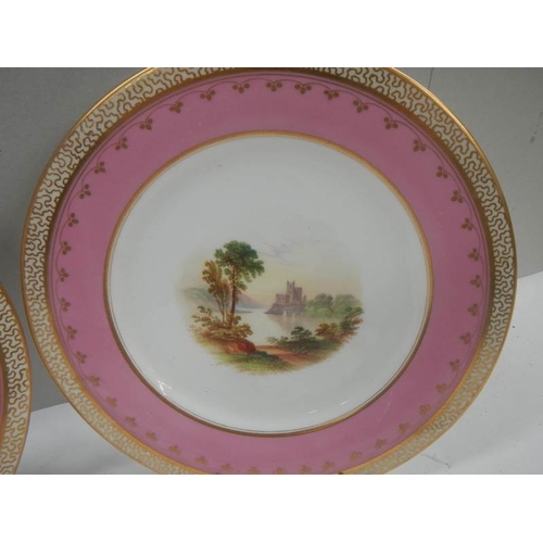 2101 - A pair of hand painted plates with gilded rims.