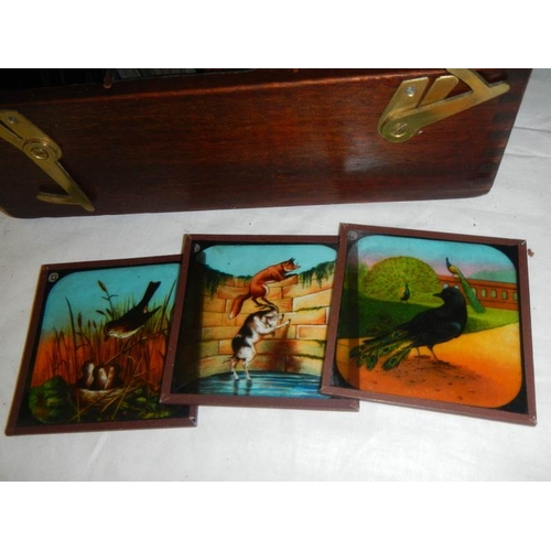 2158 - A good collection of coloured magic lantern slides.