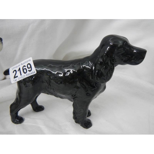 2169 - 2 large Beswick cocker spaniels.