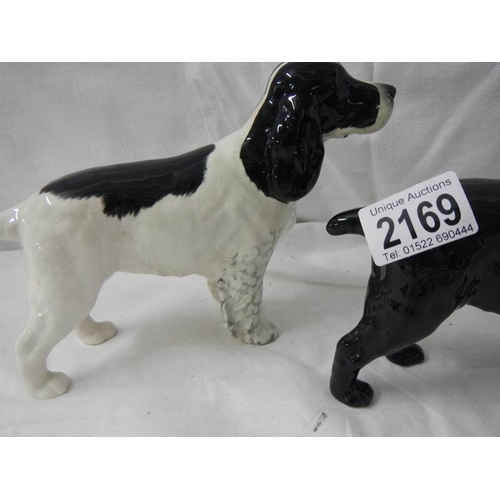 2169 - 2 large Beswick cocker spaniels.