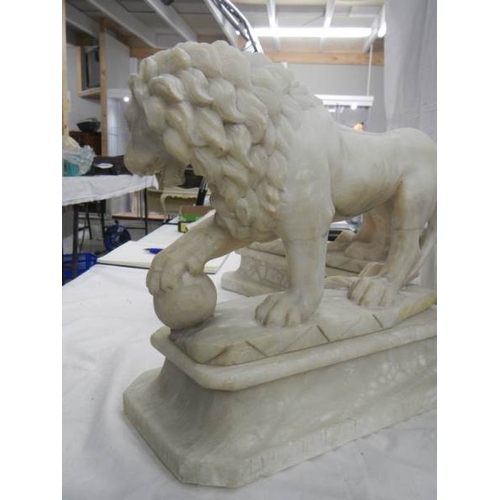 2215 - A matching pair of Victorian alabaster lions on bases.