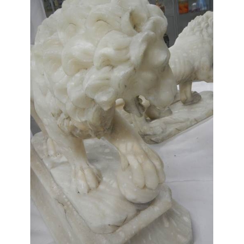 2215 - A matching pair of Victorian alabaster lions on bases.