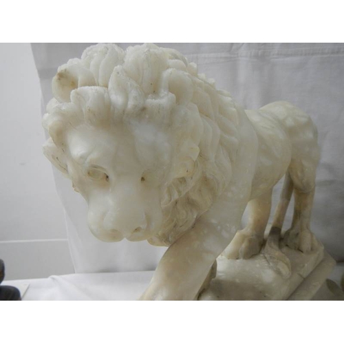 2215 - A matching pair of Victorian alabaster lions on bases.