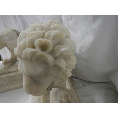 2215 - A matching pair of Victorian alabaster lions on bases.