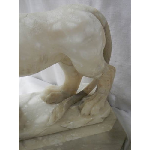 2215 - A matching pair of Victorian alabaster lions on bases.