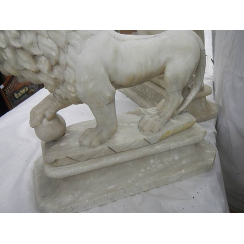 2215 - A matching pair of Victorian alabaster lions on bases.