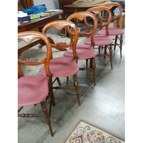 2294 - A set of 5 mahogany framed bedroom chairs.