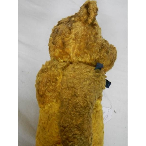 2346 - A good large vintage gold plush teddy bear, 20'' tall (sound box loose and not working),