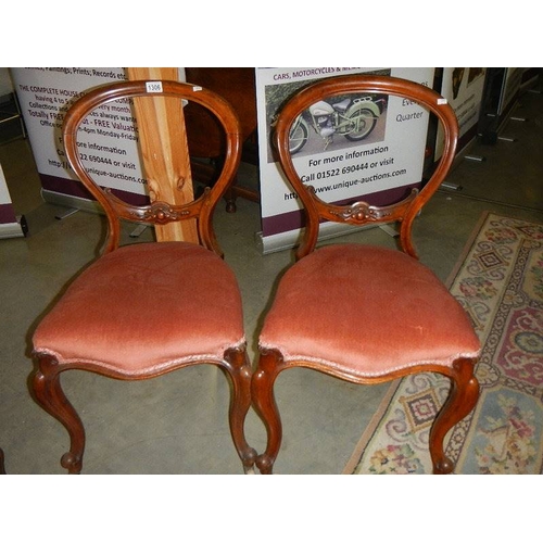 1306 - A pair of Victorian cabriole leg bedroom chairs.