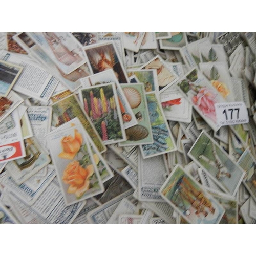 177 - Approximately 2000 cigarette cards from a variety of manufacturers including Player's, Churchman, Ca... 