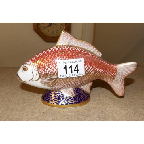 114 - A Royal Crown Derby model of a carp fish.