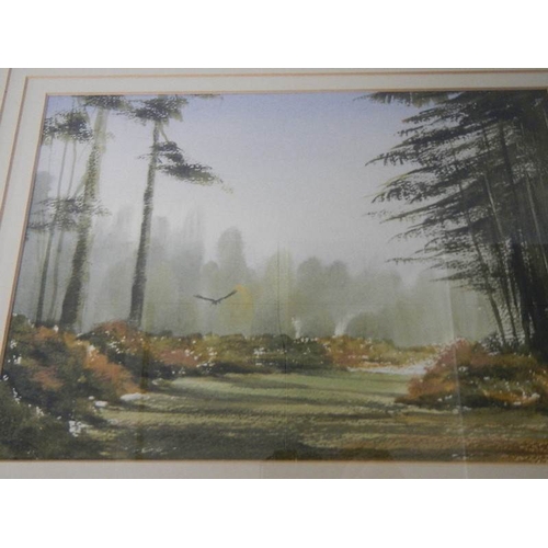 242 - ''Landscape with Falcon'' An original framed and glazed watercolour, signature indistinct, by Terry ... 