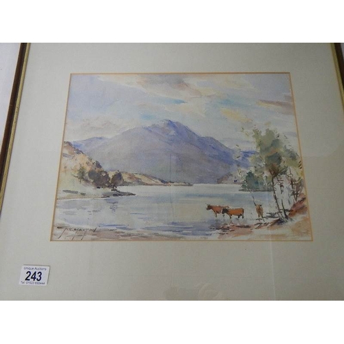 243 - ''Scottish Loch with Highland Cattle''  An original framed and glazed watercolour by John Kidd Maxto... 