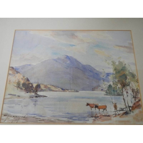 243 - ''Scottish Loch with Highland Cattle''  An original framed and glazed watercolour by John Kidd Maxto... 