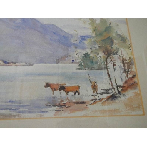 243 - ''Scottish Loch with Highland Cattle''  An original framed and glazed watercolour by John Kidd Maxto... 