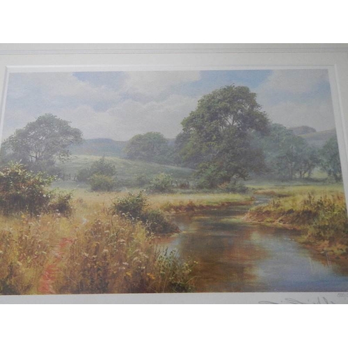 245 - A limited edition print, 500/500, signed, Southern England landscape, by renowned British landscape ... 