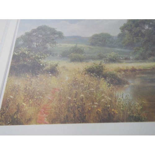 245 - A limited edition print, 500/500, signed, Southern England landscape, by renowned British landscape ... 