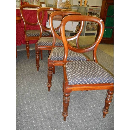 664 - A set of 4 Victorian mahogany balloon back dining chairs.