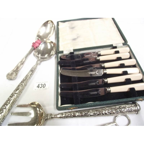 430 - A cased set of butter knives, salad servers, serving spoons, grape scissors etc.