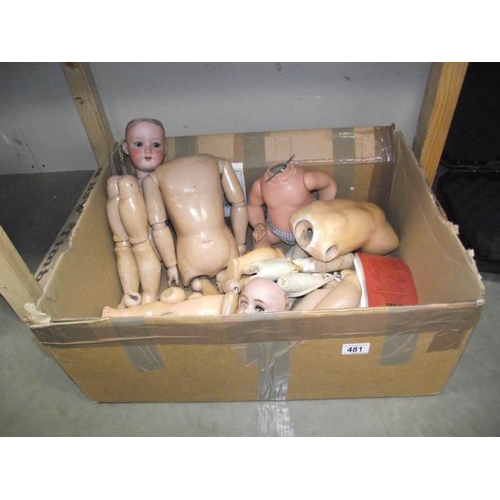 481 - A box of Victorian ./ Edwardian dolls parts