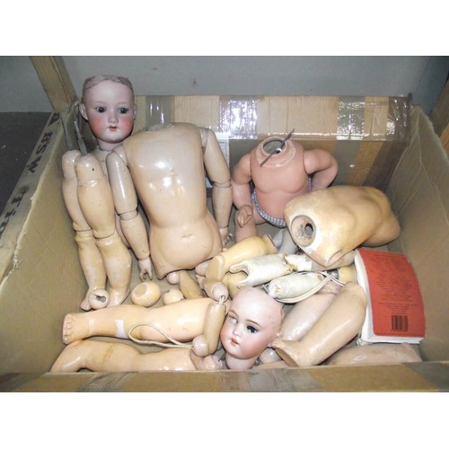 481 - A box of Victorian ./ Edwardian dolls parts