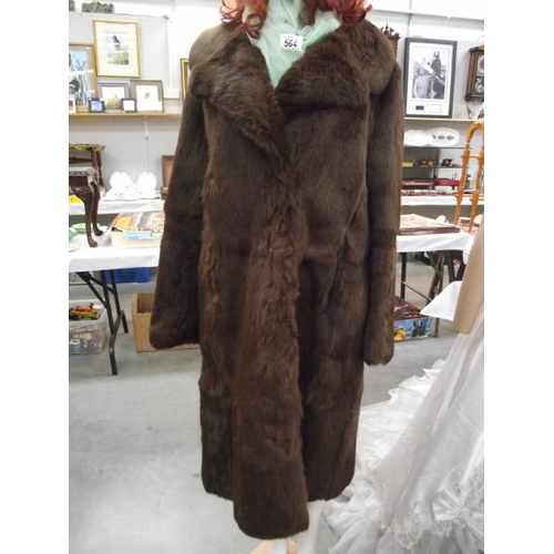 564 - A coney fur coat, size unknown. (in good condition).