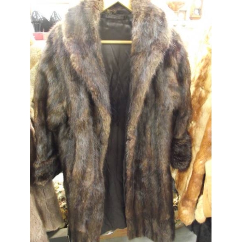 573 - A fur coat.  (In good condition)