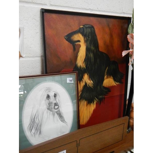 146 - 2 Afghan hound pictures.