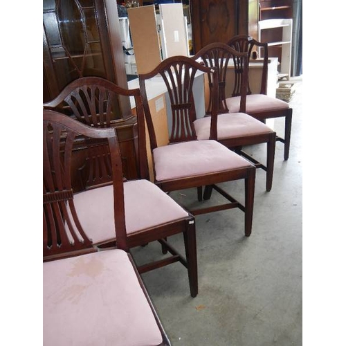 75 - 5 good mahogany dining chairs.