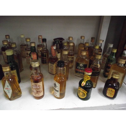 478 - 50+ miniature bottles of whisky, some vintage