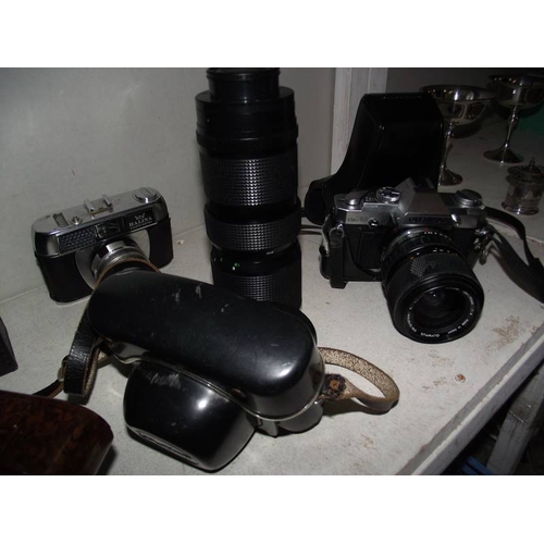 509 - A good collection of camera's including bakelite, Hawkette, Halina etc.,