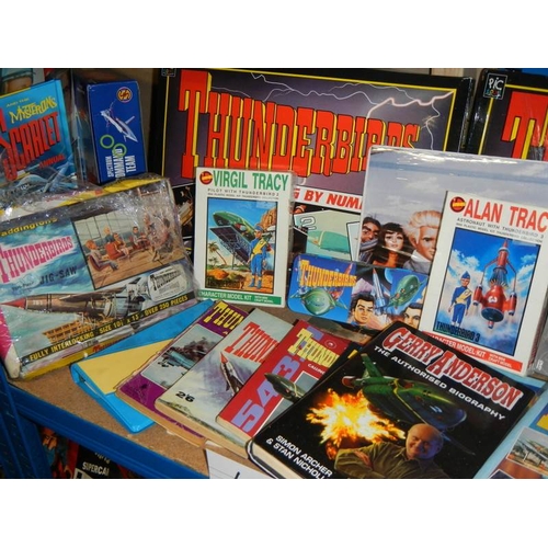 47 - A large lot of Thunderbird books, puzzles etc.,