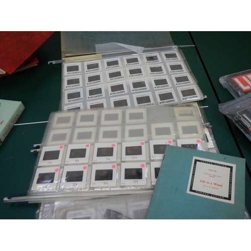 97 - A large quantity of slides including space, biology etc.,