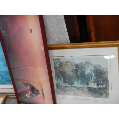 560 - 10 good framed and glazed prints.