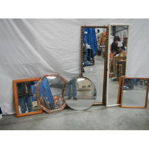 561 - 6 mirrors in various shapes and sizes.