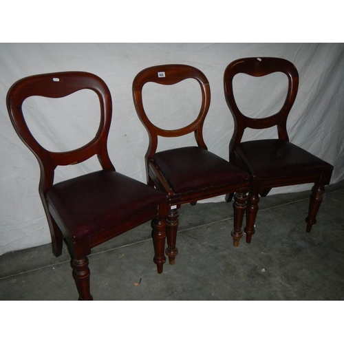 600 - 3 old balloon back chairs.