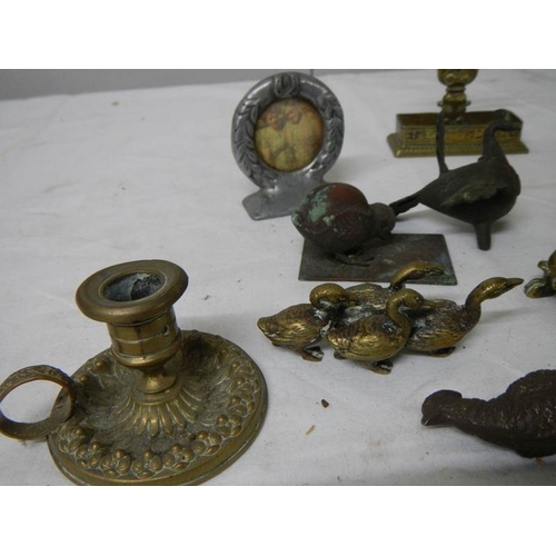 547 - A mixed lot of small brass and bronze items including Chamber Candlestick, animals, hat pin stand, B... 