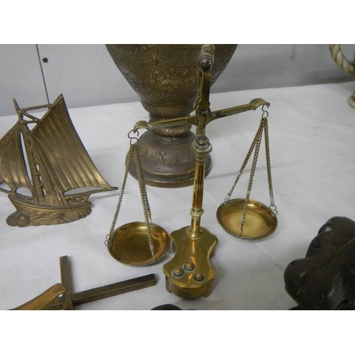 569 - A mixed lot of brassware including dog nut cracker, rearing horse, dog, balance scales etc.,