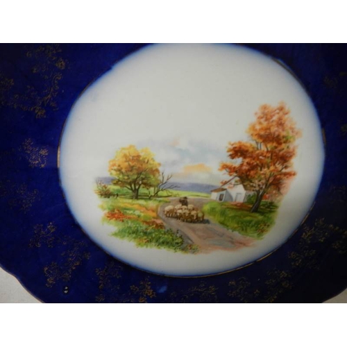 628 - 8 collector's plates including Wedgwood.