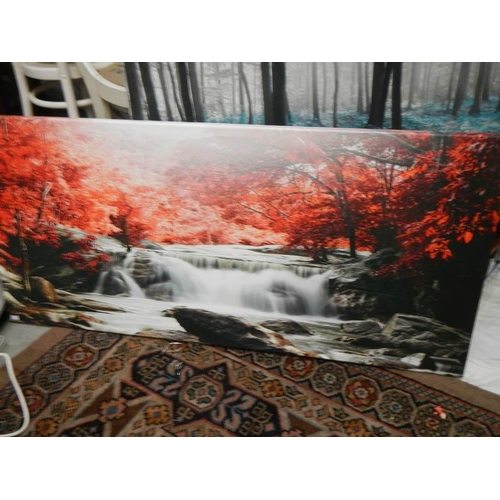 797 - 2 large prints, 120 x 50 cm.