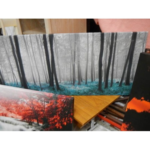 797 - 2 large prints, 120 x 50 cm.