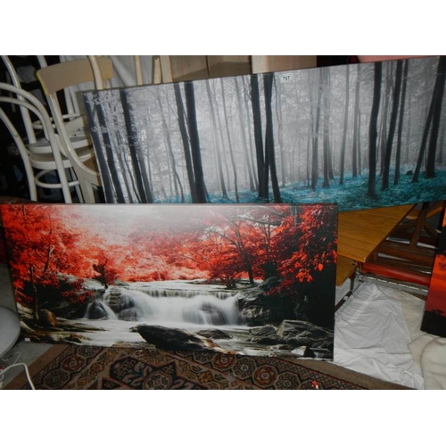 797 - 2 large prints, 120 x 50 cm.