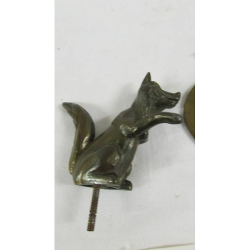 152 - A bronzed fox car mascot and a 1930's S African AA badge.