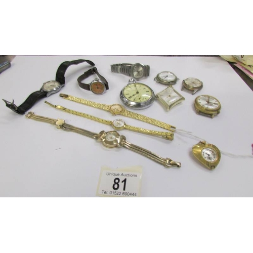 Lot 81        