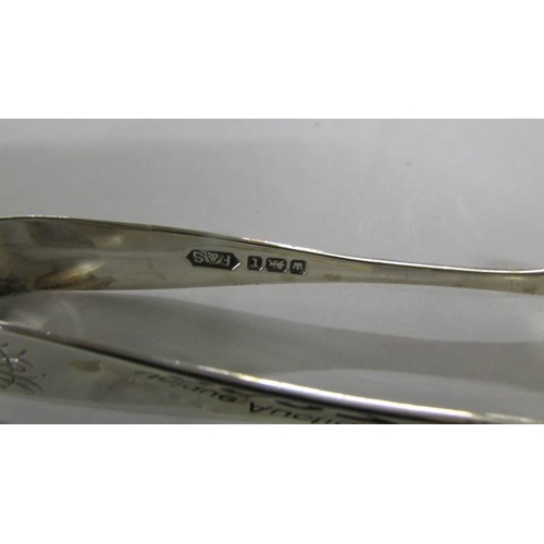 2037 - Sterling silver sugar tongs, Sheffield 1909, Fattorini & Sons Ltd.,