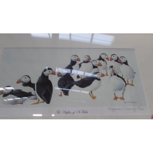 1194 - A framed and glazed limited edition print entitled 'The Puffins of St. Kilda' by Pollyanna Pickering... 