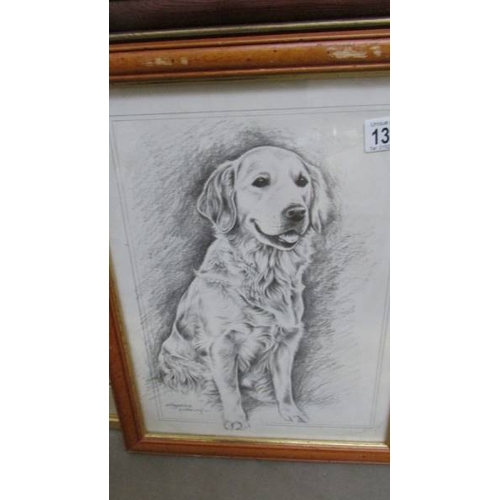 1396 - 5 framed and glazed prints of dogs including collie, Golden Retriever, Fox Terrier etc.,