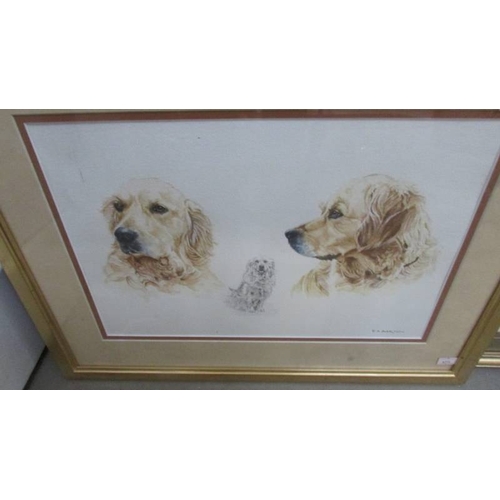 1396 - 5 framed and glazed prints of dogs including collie, Golden Retriever, Fox Terrier etc.,