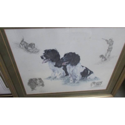 1396 - 5 framed and glazed prints of dogs including collie, Golden Retriever, Fox Terrier etc.,