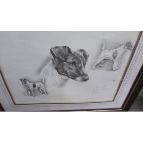 1396 - 5 framed and glazed prints of dogs including collie, Golden Retriever, Fox Terrier etc.,